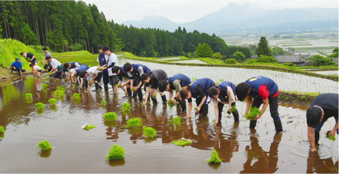 阿蘇水掛の棚田での田植え風景